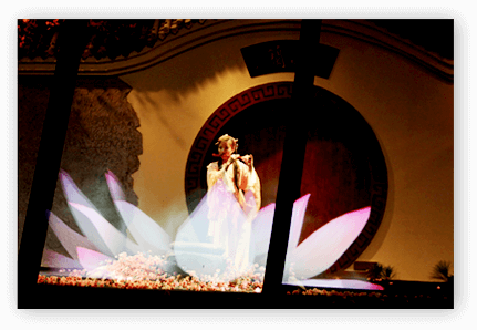 特種(zhǒng)電影